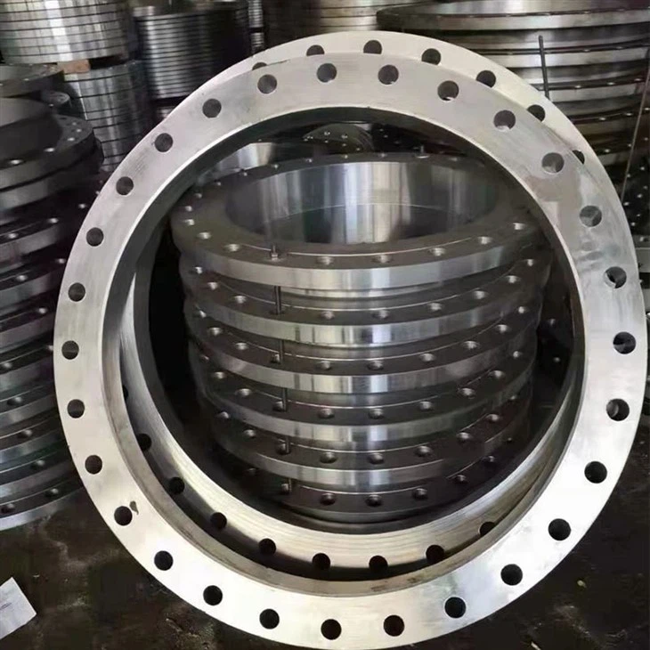 PL RF FLANGE  F316L10